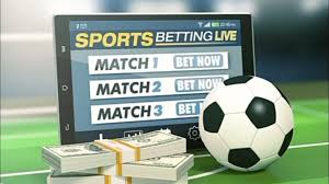 Experience the Thrill of Betting with 77bet Experience the Thrill of Betting with 77bet